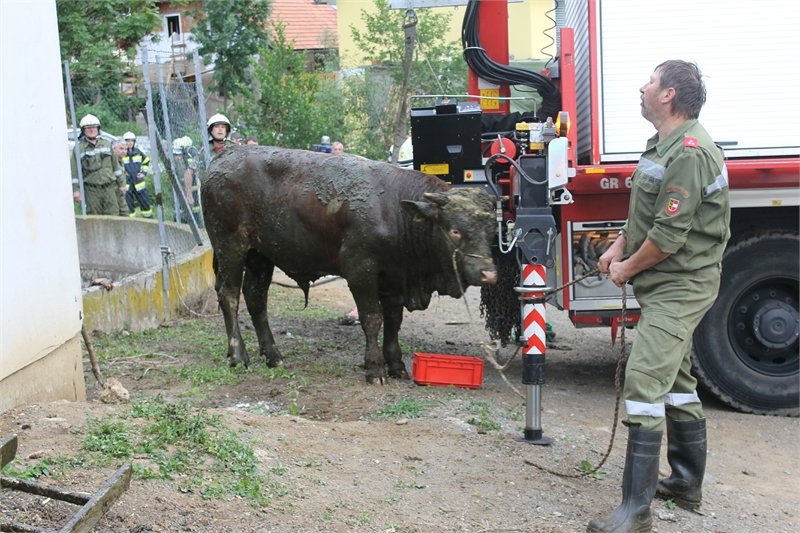 Technischer Einsatz
