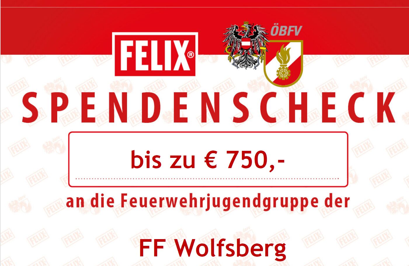 Die Feuerwehrjugend Wolfsberg wurde vom ÖBFV und Felix Austria unterstützt